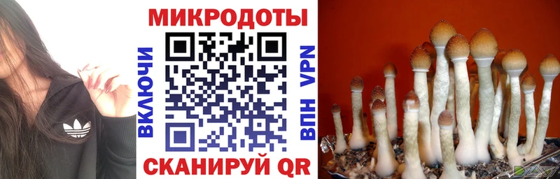 Псилоцибиновые грибы MAGIC MUSHROOMS  Шелехов 